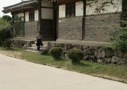 안동하회마을 유성룡 대감집소독