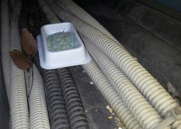 쥐의통로 편한길에 훅 .잘먹고 잘가 .