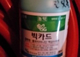 신세기방역  수목소독 약제